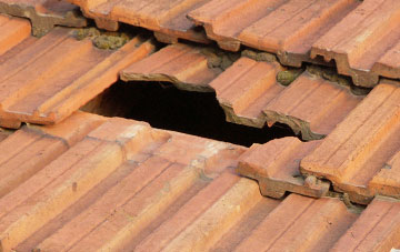roof repair Lower Nobut, Staffordshire
